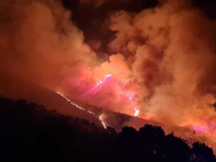 Más de 30 muertos en incendios en Argelia, que se asfixia bajo una ola de calor histórica